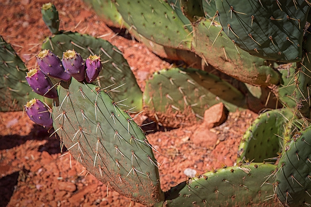 1G0A9785-HDR-Edit.jpg