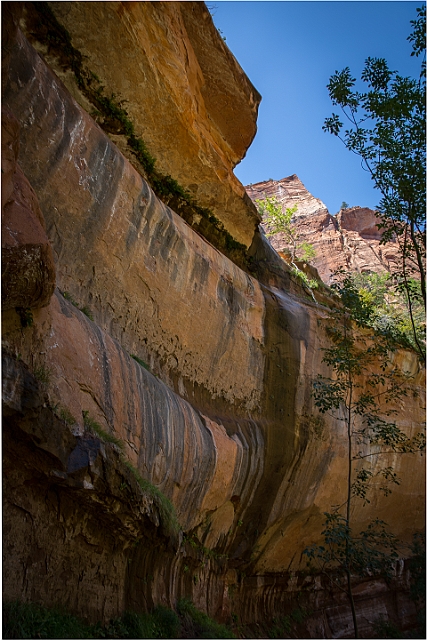 1G0A9830-HDR.jpg