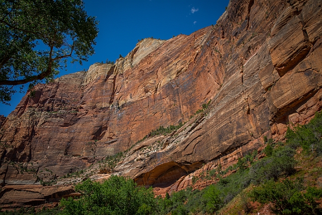 1G0A9885-HDR.jpg
