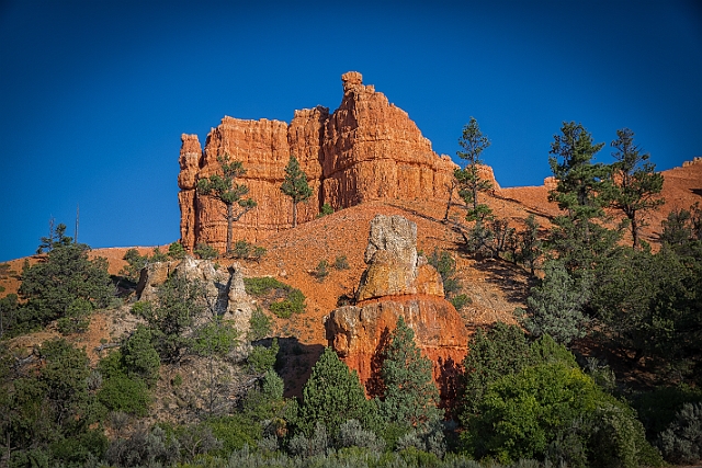 1G0A9970-HDR-Edit.jpg