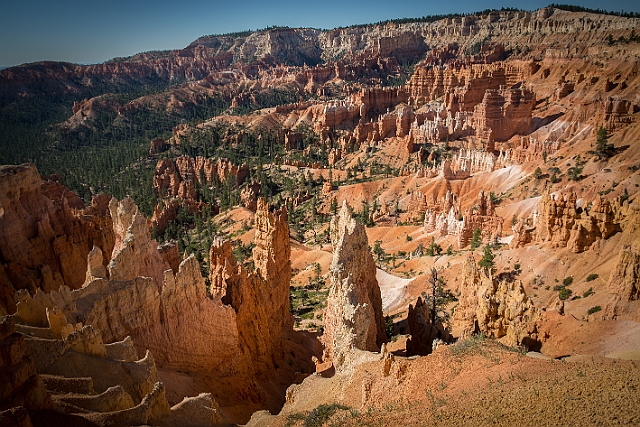 1G0B0081-HDR.jpg