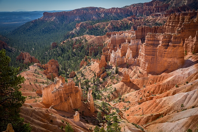 1G0B0101-HDR.jpg