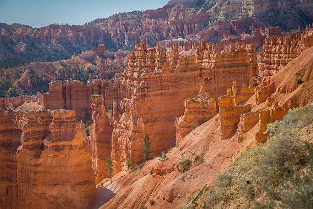 1G0B0116-HDR.jpg