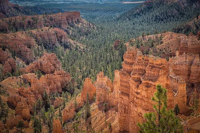 1G0B0156-HDR-Edit.jpg