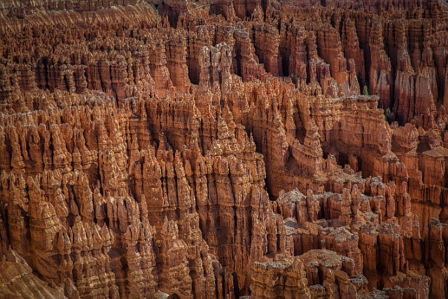 1G0B0241-HDR-Edit.jpg