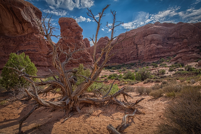 1G0B0601-HDR-Edit.jpg