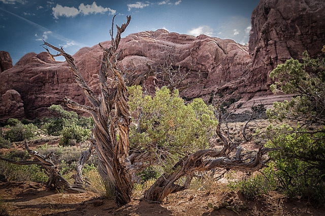 1G0B0611-HDR-Edit-Edit.jpg