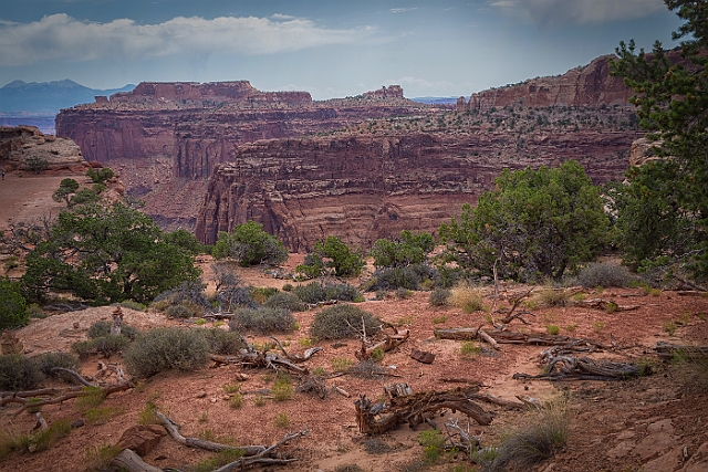 1G0B0684-HDR-Edit.jpg
