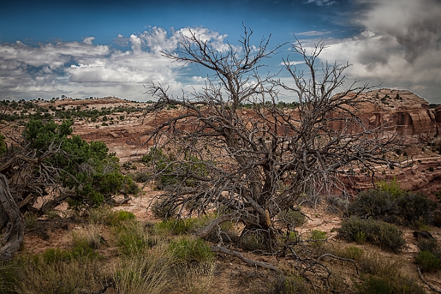 1G0B0699-HDR-Edit.jpg