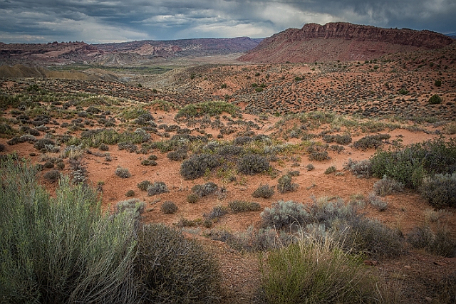 1G0B0889-HDR-Edit.jpg