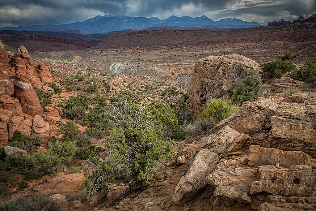 1G0B0919-HDR-Edit.jpg