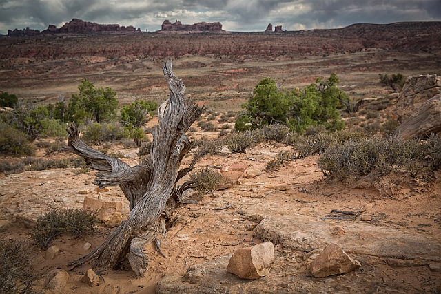 1G0B0934-HDR-Edit.jpg