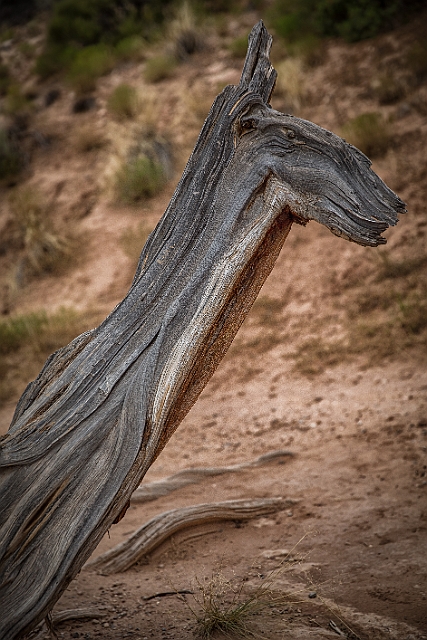 1G0B1089-HDR-Edit.jpg
