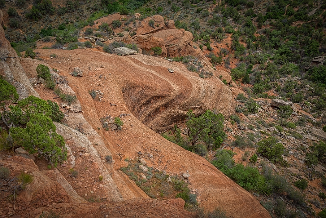 1G0B1154-HDR-Edit.jpg