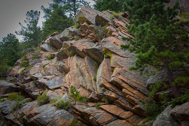 1G0B1806-Edit.jpg