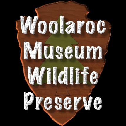 Woolaroc.jpg