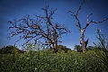 1G0A6706-HDR-Edit
