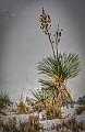 1G0A6809_10_11_12_13_fused
