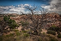 1G0B0699-HDR-Edit