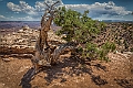 1G0B0759-HDR-Edit