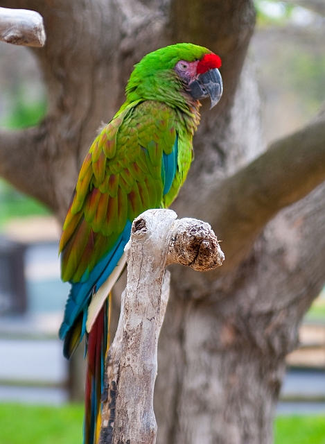 IMG_1671.jpg
