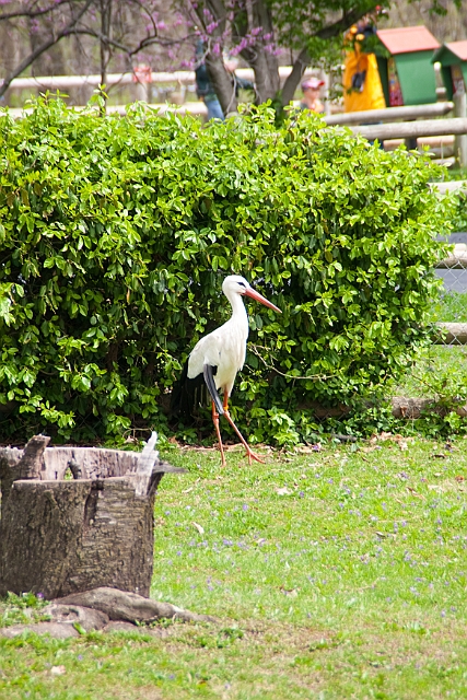 IMG_1719.jpg