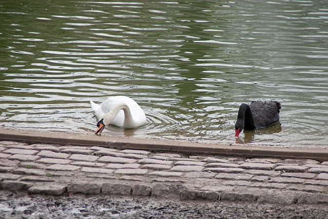 IMG_1744.jpg