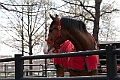 IMG_1327