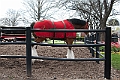 IMG_1330