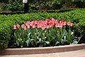 IMG_1345