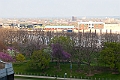 IMG_1377