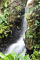 IMG_1415