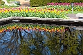 IMG_1455