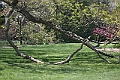IMG_1507