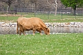 IMG_1633