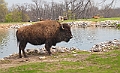 IMG_1644