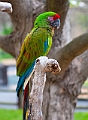 IMG_1671