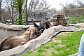 IMG_1710