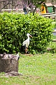 IMG_1719