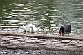 IMG_1744
