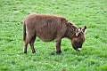 IMG_1760