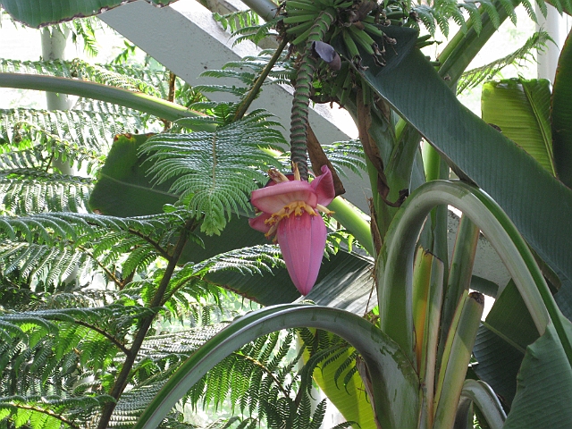 IMG_0088.jpg