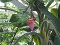 IMG_0088