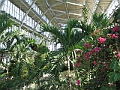 IMG_0090
