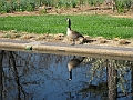 IMG_0094