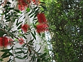 IMG_0101