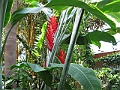 IMG_0109