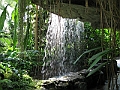 IMG_0121