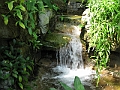 IMG_0125