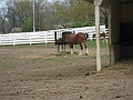 IMG_0155
